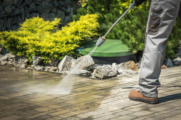 Best Oil Spill Cleanup  in Apollo Beach, FL